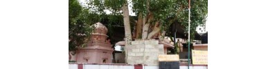 கணபதி விஸ்வநாதசாமி